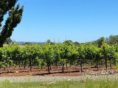 14080 Sutter Creek Rd, Sutter Creek, CA 95685 photo 96
