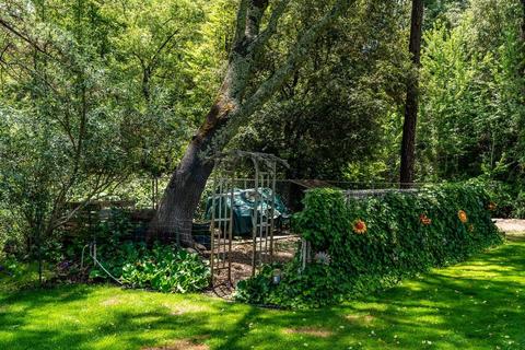 14080 Sutter Creek Rd, Sutter Creek, CA 95685 photo 69