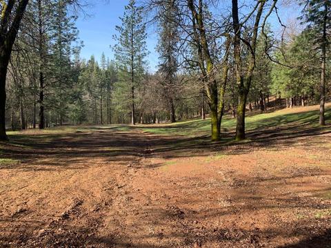 608 Timber Ln, West Point, CA 95255 photo 10