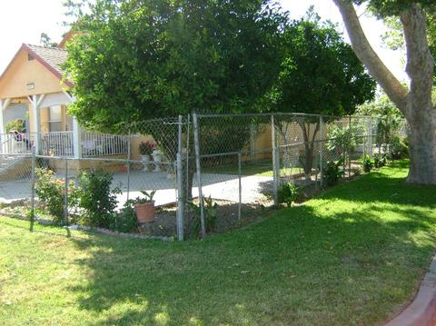 439 Mill St, Turlock, CA 95380 photo 8