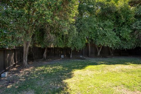 3040 N Olive Ave, Turlock, CA 95382 photo 22