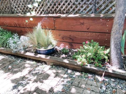 12700 Red Maple #7, Sonora, CA 95370 photo 29