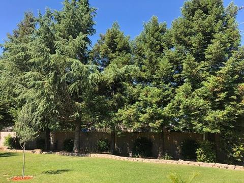 2513 Apache Ct, Modesto, CA 95350 photo 6