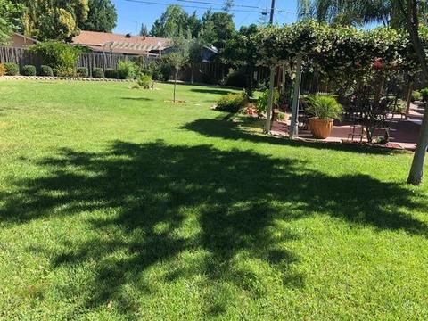 2513 Apache Ct, Modesto, CA 95350 photo 15