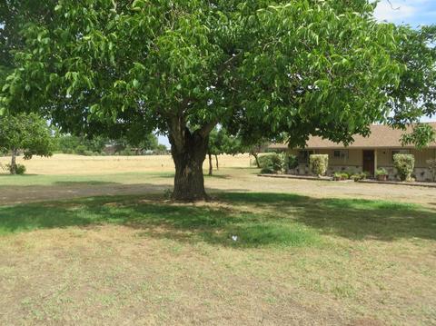 14488 E Collier Rd, Acampo, CA 95220 photo 22
