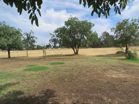 14488 E Collier Rd, Acampo, CA 95220 photo 23