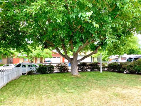7705 Milldale Cir, Elverta, CA 95626 photo 3