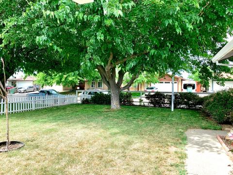 7705 Milldale Cir, Elverta, CA 95626 photo 4