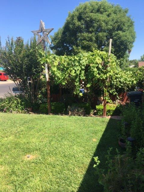 1845 Fulkerth Rd, Turlock, CA 95380 photo 4