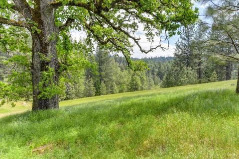 4750 Paso Ct, Placerville, CA 95667 photo 72