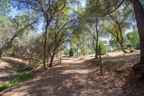 3101 Graystone Rd, Placerville, CA 95667 photo 54