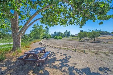 3101 Graystone Rd, Placerville, CA 95667 photo 65
