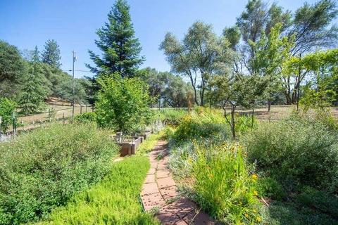 3101 Graystone Rd, Placerville, CA 95667 photo 41