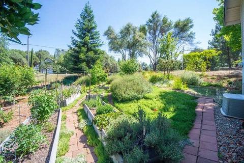 3101 Graystone Rd, Placerville, CA 95667 photo 40