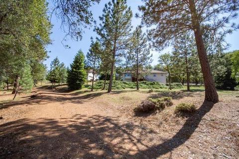 3101 Graystone Rd, Placerville, CA 95667 photo 56