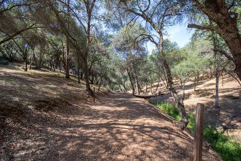 3101 Graystone Rd, Placerville, CA 95667 photo 53