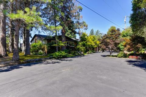 3461 Big Cut Rd, Placerville, CA 95667 photo 29