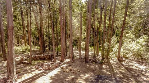 3925 Garnet Rd, Pollock Pines, CA 95726 photo 33