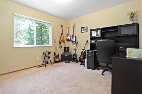 3925 Garnet Rd, Pollock Pines, CA 95726 photo 24