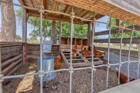 725 E Stuhr Rd, Newman, CA 95360 photo 36