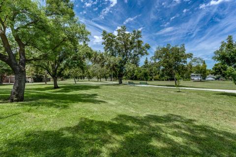 2036 Alta Loma St, Davis, CA 95616 photo 14