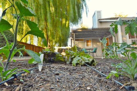 185 E Mount Diablo Ave, Tracy, CA 95376 photo 20
