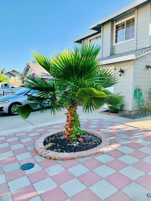 8452 Bramble Bush Cir, Antelope, CA 95843 photo 6