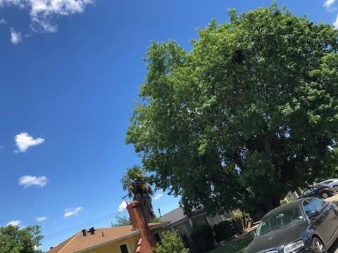 605 Ribier Ave, Lodi, CA 95240 photo 6