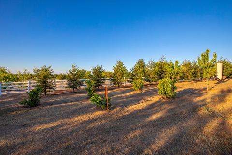 9760 Tack Ct, Wilton, CA 95693 photo 52