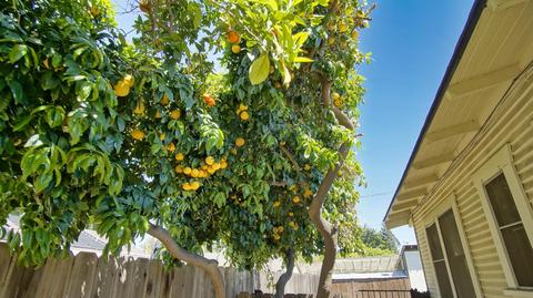 932 Virginia Ave, Modesto, CA 95350 photo 6