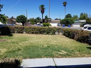 203 Miner Ct, Isleton, CA 95641 photo 2