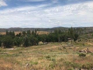 9599 Wendell Rd, Mountain Ranch, CA 95246 photo 10