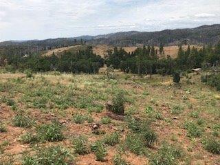 9599 Wendell Rd, Mountain Ranch, CA 95246 photo 16