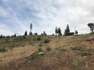 9599 Wendell Rd, Mountain Ranch, CA 95246 photo 8