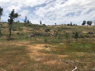 9599 Wendell Rd, Mountain Ranch, CA 95246 photo 20