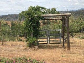 9599 Wendell Rd, Mountain Ranch, CA 95246 photo 6