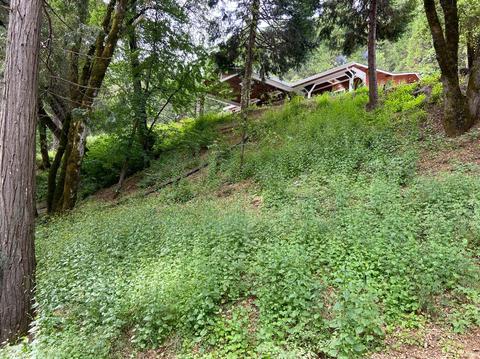 5000 Victory Mine Rd, Placerville, CA 95667 photo 33