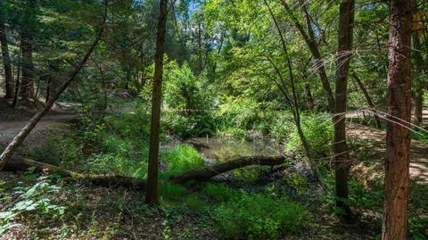 5000 Victory Mine Rd, Placerville, CA 95667 photo 48