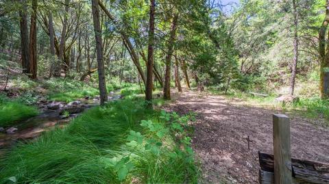 5000 Victory Mine Rd, Placerville, CA 95667 photo 44