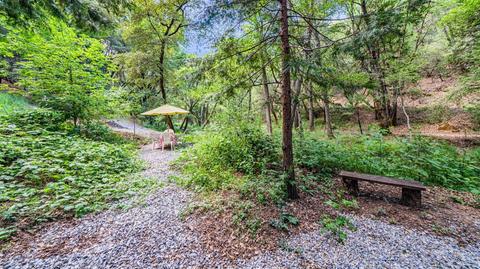 5000 Victory Mine Rd, Placerville, CA 95667 photo 39