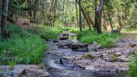 5000 Victory Mine Rd, Placerville, CA 95667 photo 42