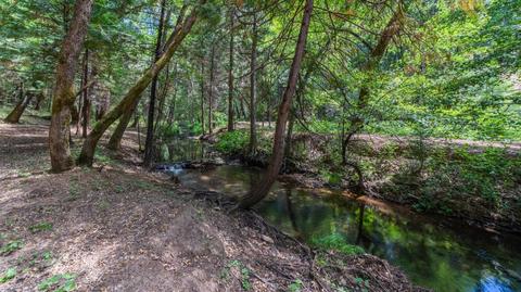 5000 Victory Mine Rd, Placerville, CA 95667 photo 52