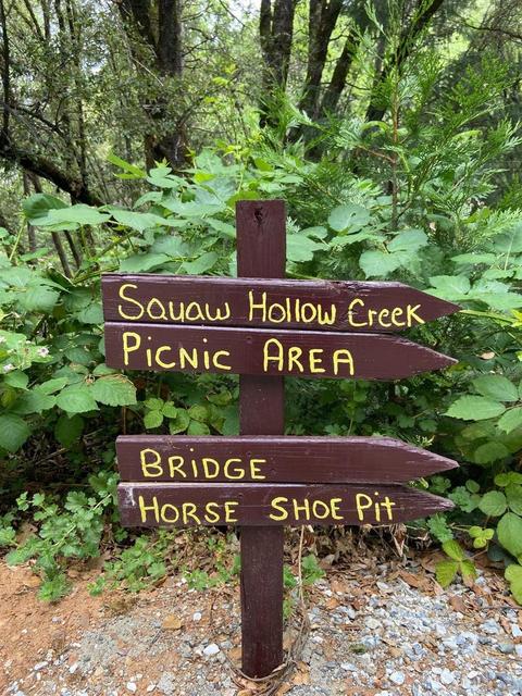 5000 Victory Mine Rd, Placerville, CA 95667 photo 38
