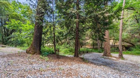 5000 Victory Mine Rd, Placerville, CA 95667 photo 32