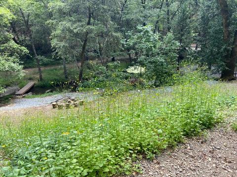 5000 Victory Mine Rd, Placerville, CA 95667 photo 36