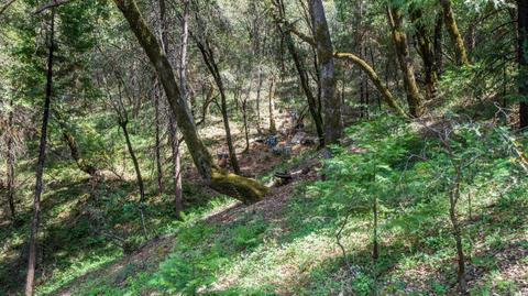 5000 Victory Mine Rd, Placerville, CA 95667 photo 57