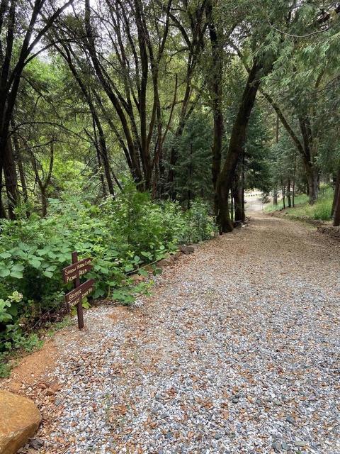 5000 Victory Mine Rd, Placerville, CA 95667 photo 37