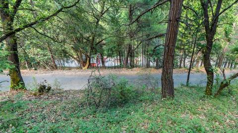 5000 Victory Mine Rd, Placerville, CA 95667 photo 58