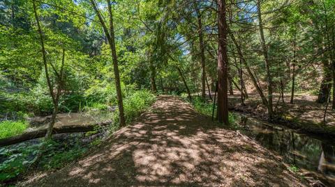 5000 Victory Mine Rd, Placerville, CA 95667 photo 50