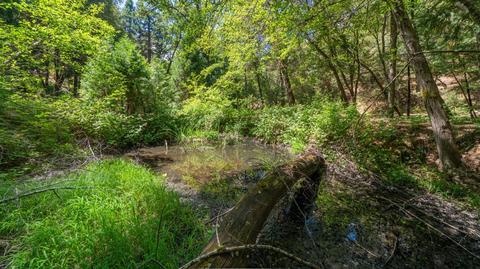 5000 Victory Mine Rd, Placerville, CA 95667 photo 49